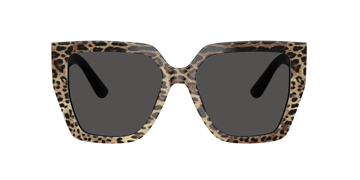 Dolce & Gabbana 0DG4438 316387 55 Leo Brown On Black/ Dark Grey