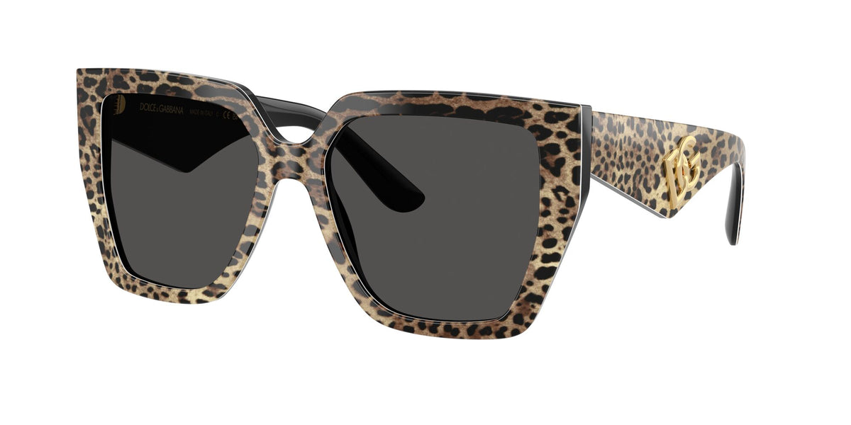Dolce & Gabbana 0DG4438 316387 55 Leo Brown On Black/ Dark Grey