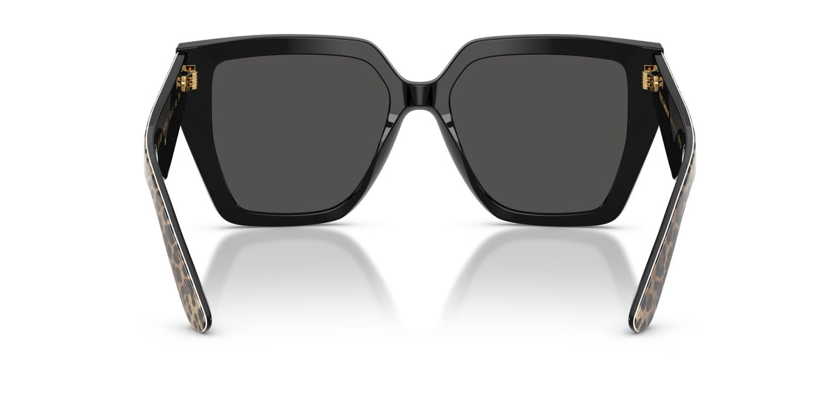 Dolce & Gabbana 0DG4438 316387 55 Leo Brown On Black/ Dark Grey