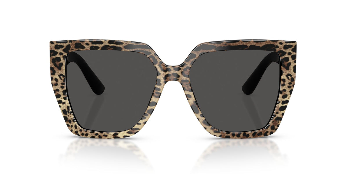 Dolce & Gabbana 0DG4438 316387 55 Leo Brown On Black/ Dark Grey