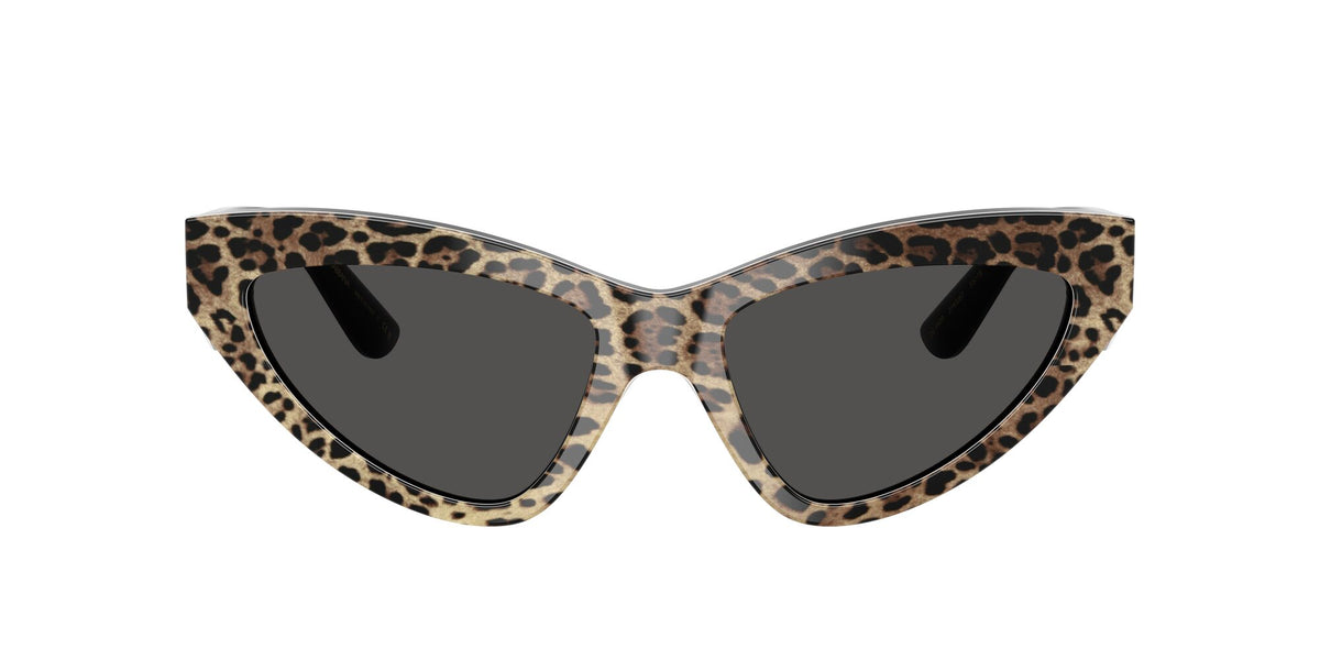 Dolce & Gabbana 0DG4439 316387 55 Leo Brown On Black/ Dark Grey