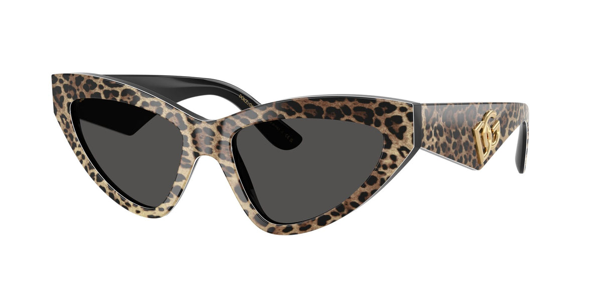 Dolce & Gabbana 0DG4439 316387 55 Leo Brown On Black/ Dark Grey