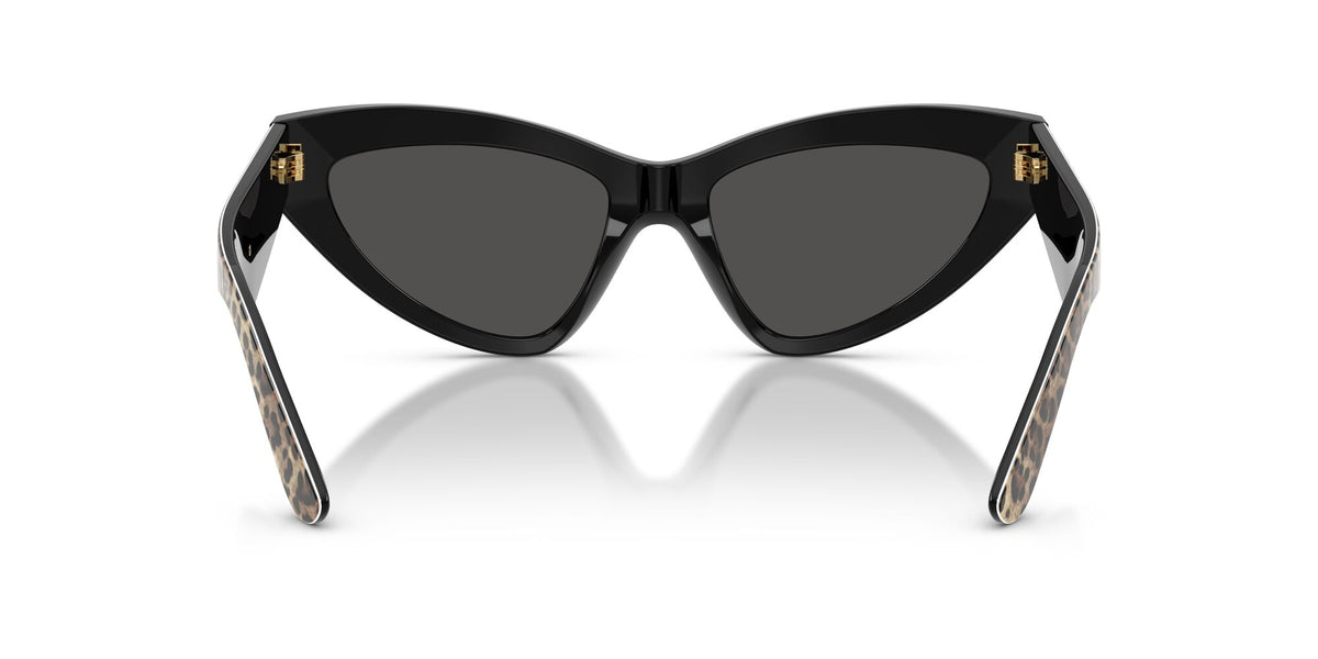 Dolce & Gabbana 0DG4439 316387 55 Leo Brown On Black/ Dark Grey
