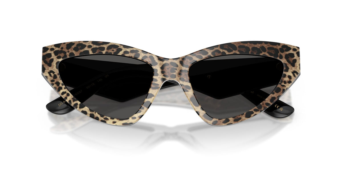 Dolce & Gabbana 0DG4439 316387 55 Leo Brown On Black/ Dark Grey