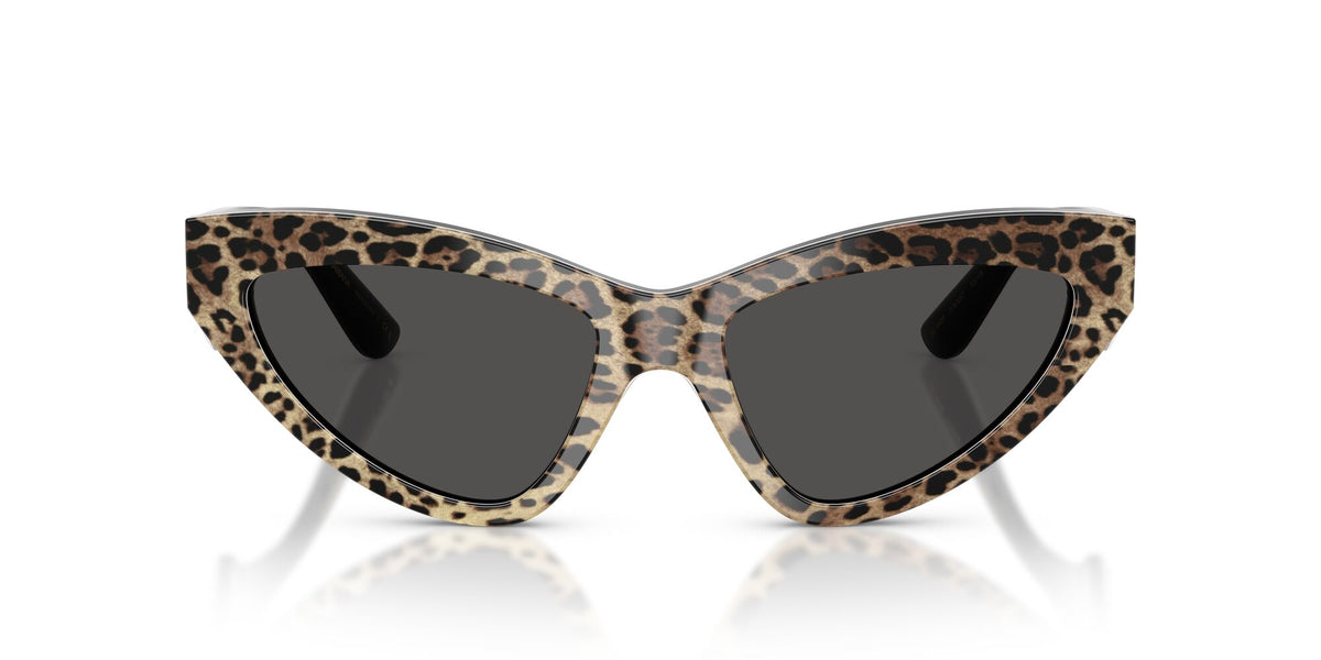 Dolce & Gabbana 0DG4439 316387 55 Leo Brown On Black/ Dark Grey