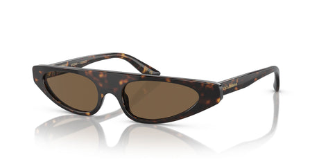 Dolce & Gabbana 0DG4442 502/73 52 Havana/ Dark Brown