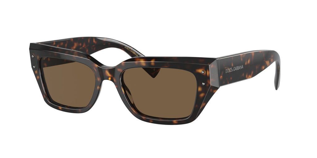 Dolce & Gabbana 0DG4462 502/73 52 Havana/ Dark Brown