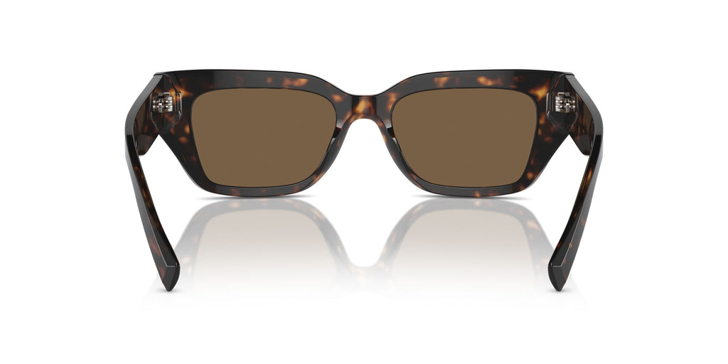 Dolce & Gabbana 0DG4462 502/73 52 Havana/ Dark Brown