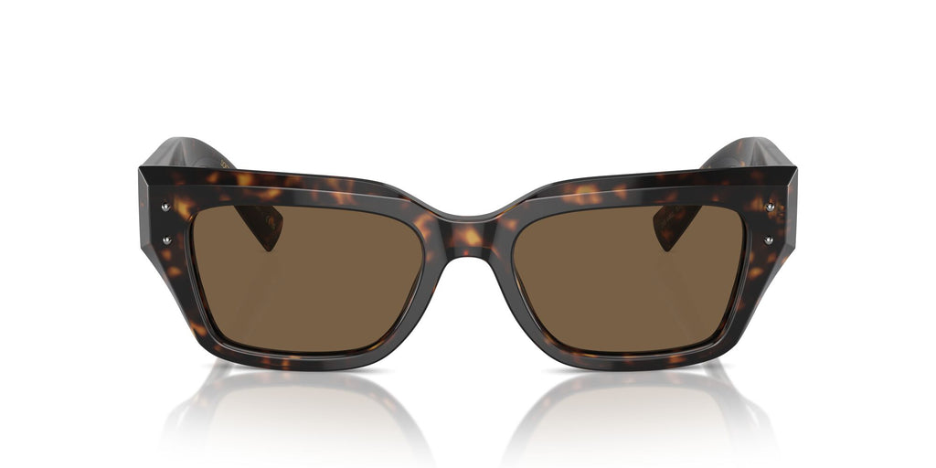 Dolce & Gabbana 0DG4462 502/73 52 Havana/ Dark Brown