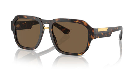 Dolce & Gabbana 0DG4464 502/73 56 Havana/ Dark Brown