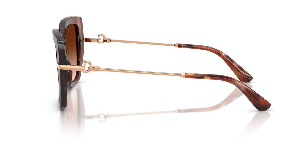 Dolce & Gabbana 0DG4474 322274 53 Havana/ Brown Gradient