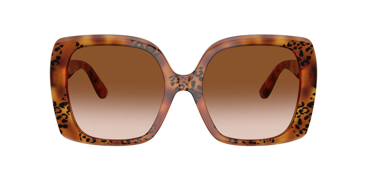 Dolce & Gabbana  0DG4475 338013 56 Havana Leo/ Brown Gradient