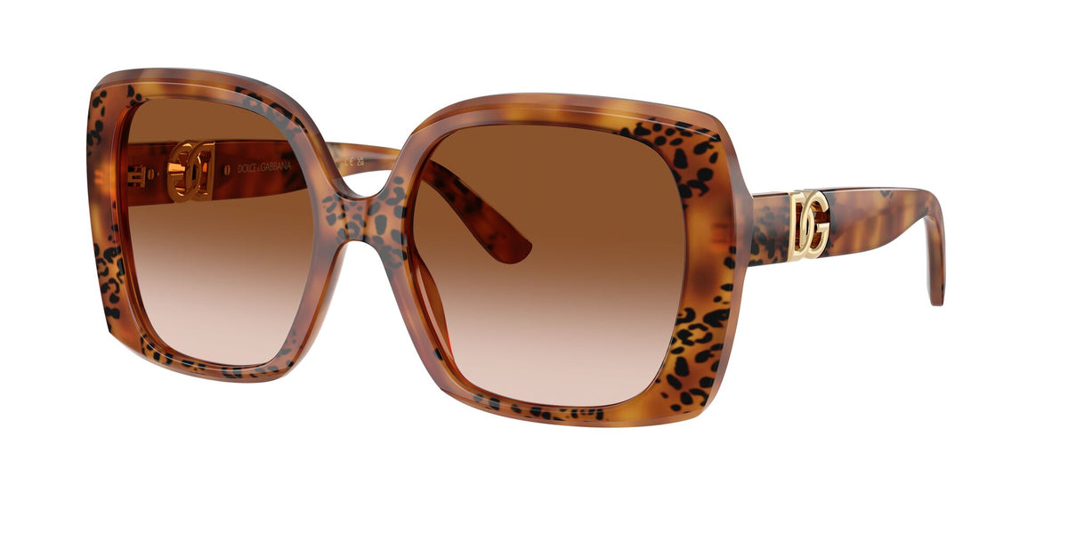 Dolce & Gabbana  0DG4475 338013 56 Havana Leo/ Brown Gradient