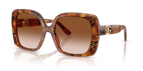 Dolce & Gabbana  0DG4475 338013 56 Havana Leo/ Brown Gradient