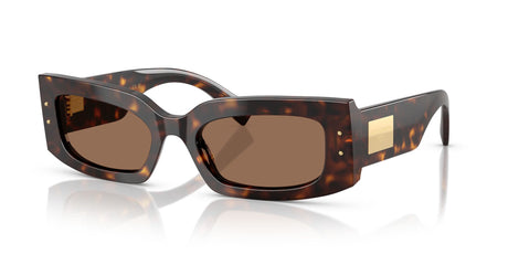 Dolce & Gabbana  0DG4479 502/73 55 Havana/ Dark Brown