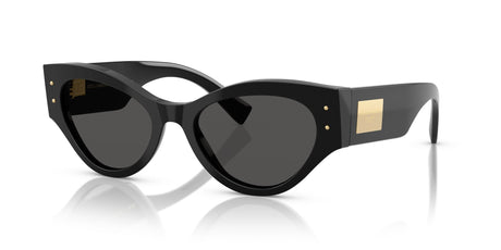 Dolce & Gabbana  0DG4480F 501/87 53 Black/ Dark Grey