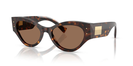 Dolce & Gabbana  0DG4480 502/73 53 Havana/ Dark Brown