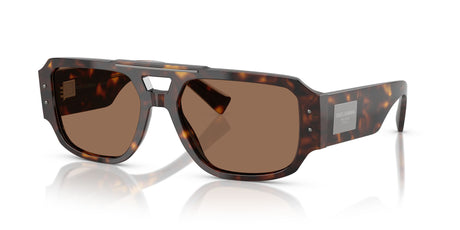 Dolce & Gabbana  0DG4482 502/73 57 Havana/ Dark Brown