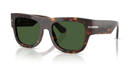 Dolce & Gabbana  0DG4484 502/71 54 Havana/ Dark Green