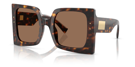 Dolce & Gabbana  0DG4490 502/73 53 Havana/ Dark Brown