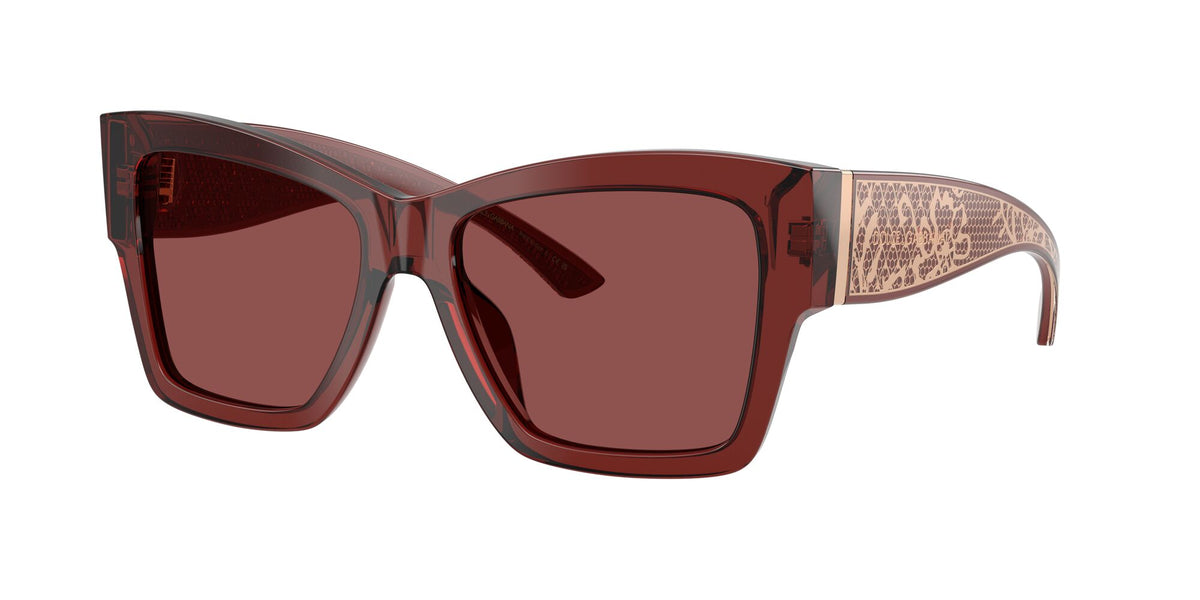 Dolce & Gabbana 0DG4493 304575 55 Transparent Bordeaux/ Dark Violet