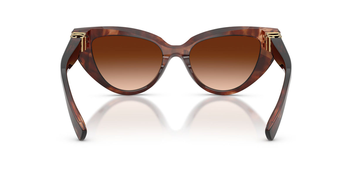 Dolce & Gabbana 0DG4497 322274 52 Dark Red Havana/ Brown Gradient
