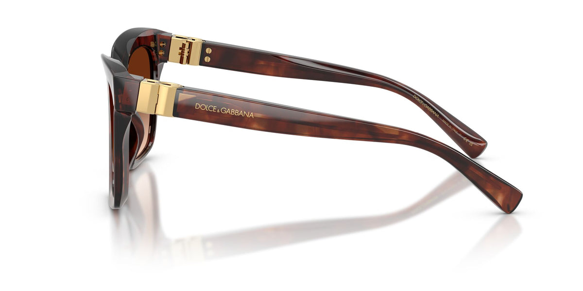 Dolce & Gabbana 0DG4498 322274 55 Dark Red Havana/ Brown Gradient
