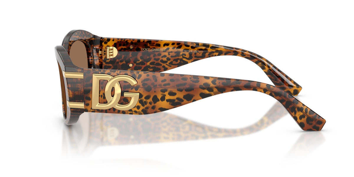 Dolce & Gabbana 0DG4502347073 Leo Transparent/ Dark Brown
