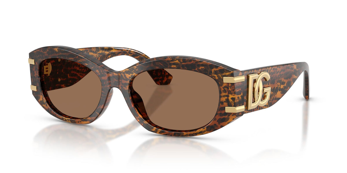 Dolce & Gabbana 0DG4502347073 Leo Transparent/ Dark Brown