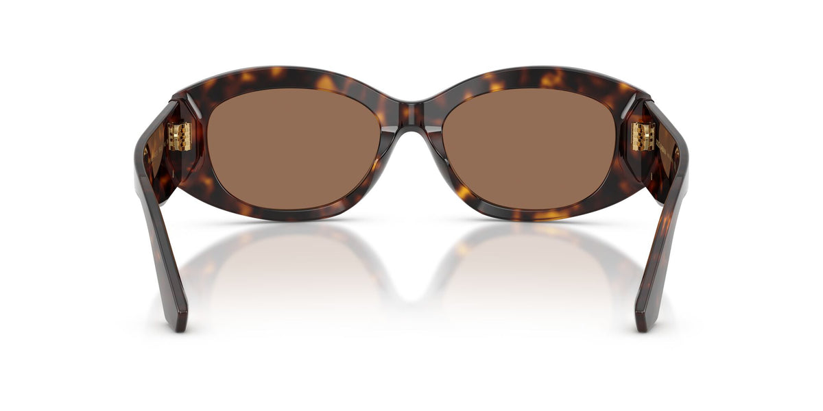 Dolce & Gabbana 0DG4502 502/73 55 Havana/ Dark Brown
