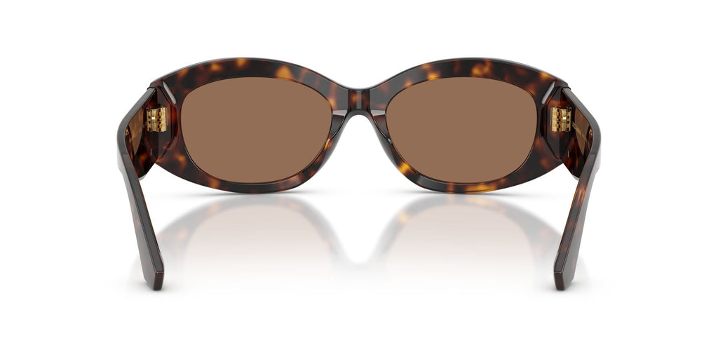 Dolce & Gabbana 0DG4502 502/73 55 Havana/ Dark Brown