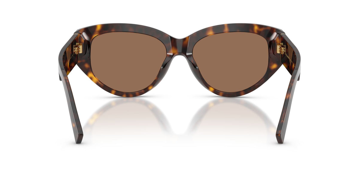 Dolce & Gabbana 0DG4514 502/73 55 Havana/ Dark Brown