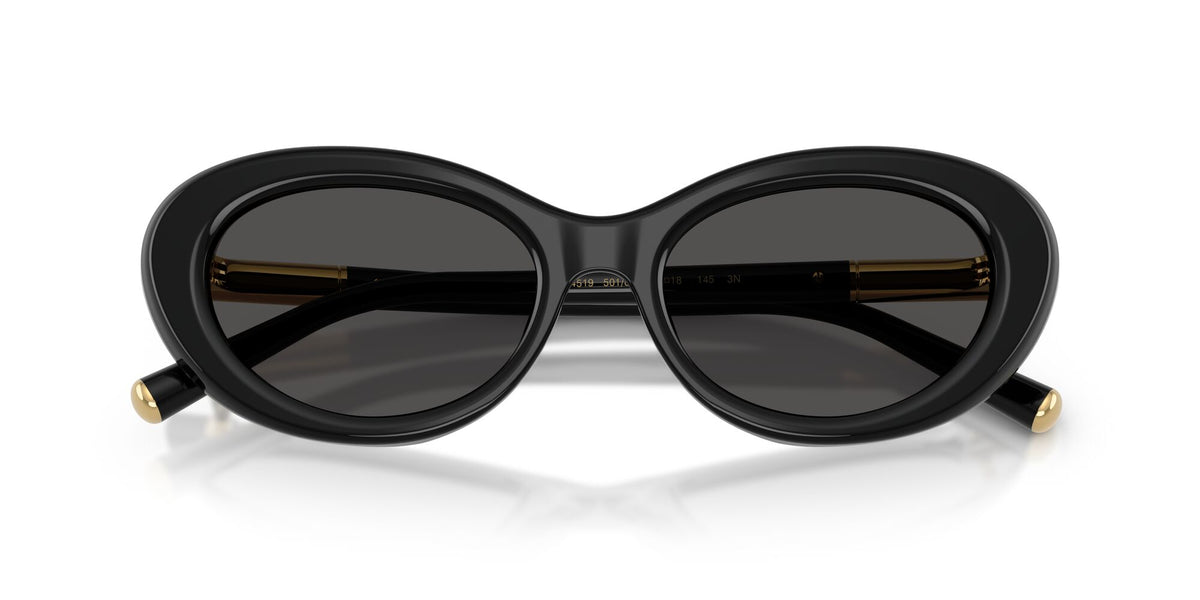 Dolce & Gabbana 0DG4519 501/87 54 Black/ Dark Grey