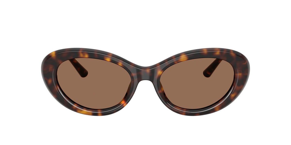 Dolce & Gabbana 0DG4519 502/73 54 Havana/ Dark Brown
