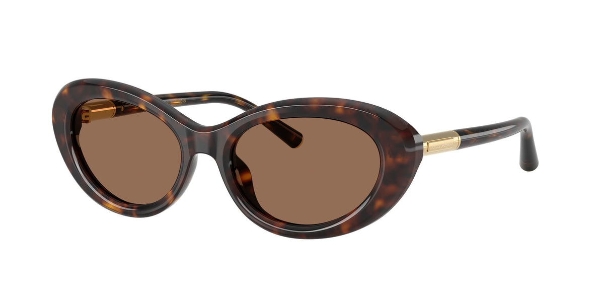 Dolce & Gabbana 0DG4519 502/73 54 Havana/ Dark Brown