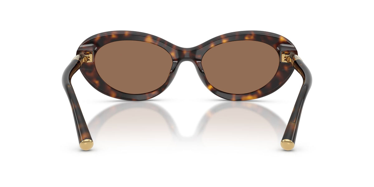 Dolce & Gabbana 0DG4519 502/73 54 Havana/ Dark Brown