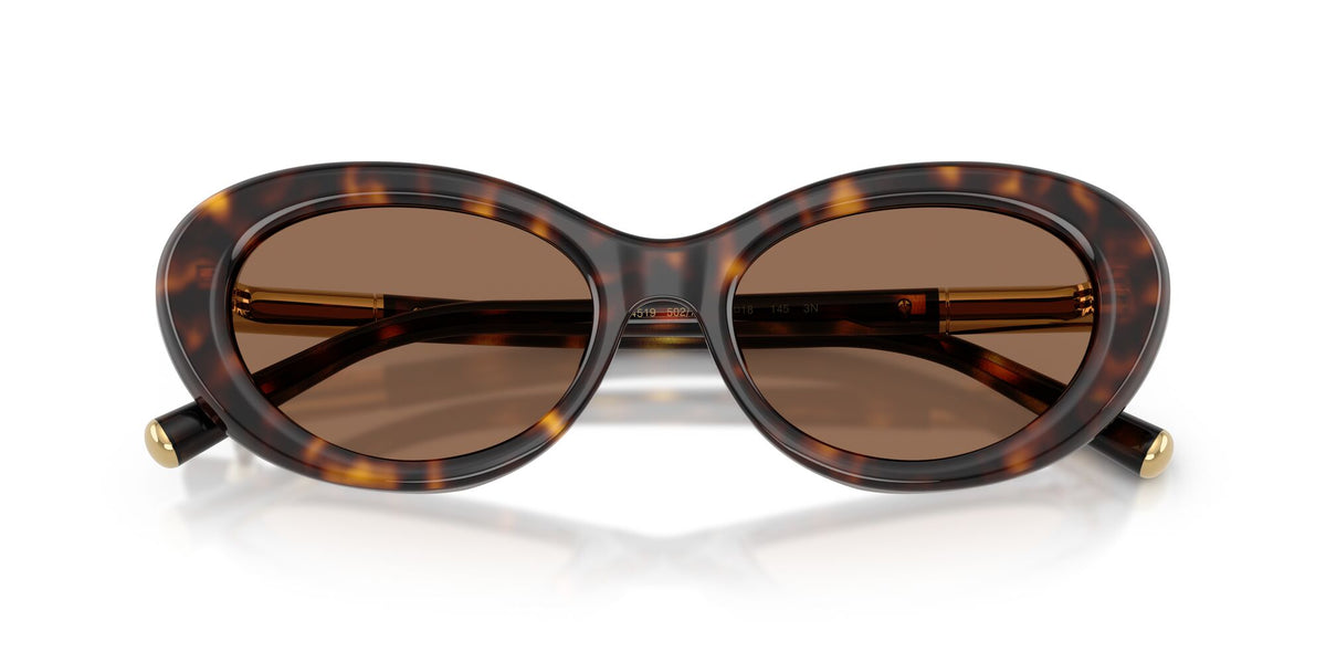 Dolce & Gabbana 0DG4519 502/73 54 Havana/ Dark Brown