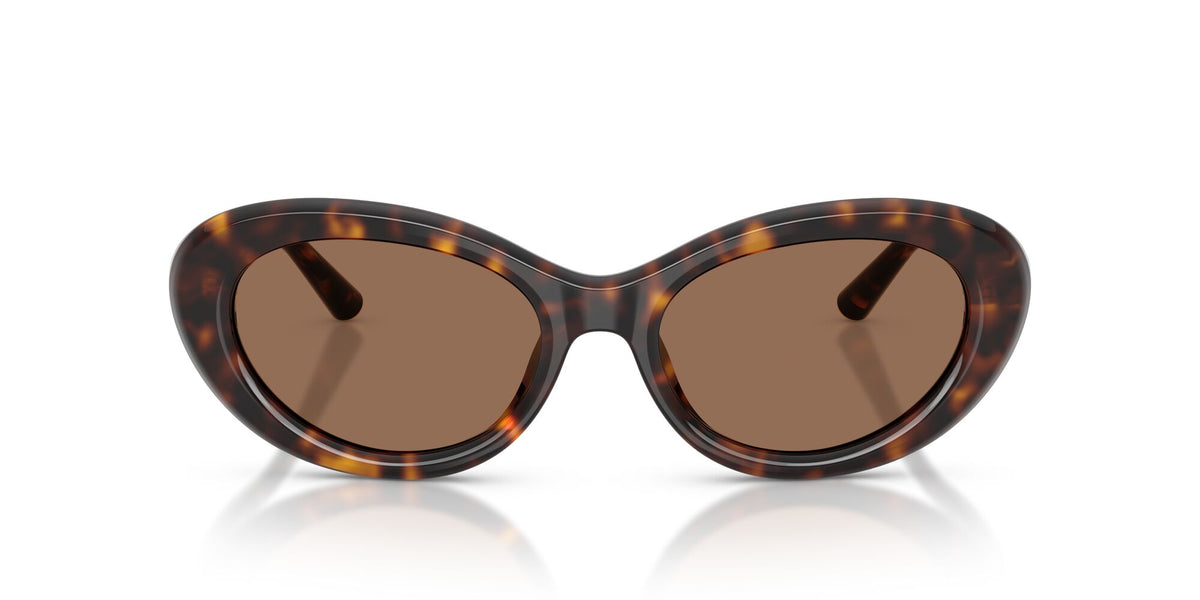 Dolce & Gabbana 0DG4519 502/73 54 Havana/ Dark Brown