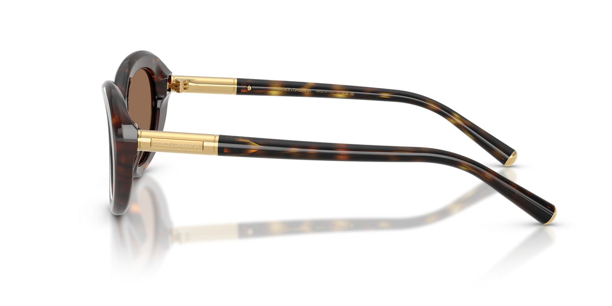 Dolce & Gabbana 0DG4519 502/73 54 Havana/ Dark Brown