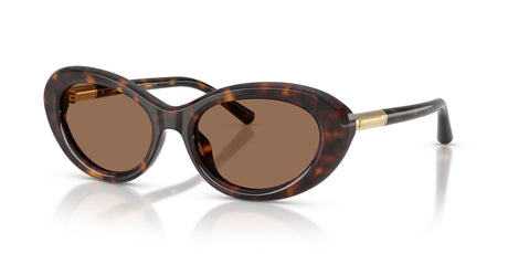 Dolce & Gabbana 0DG4519 502/73 54 Havana/ Dark Brown