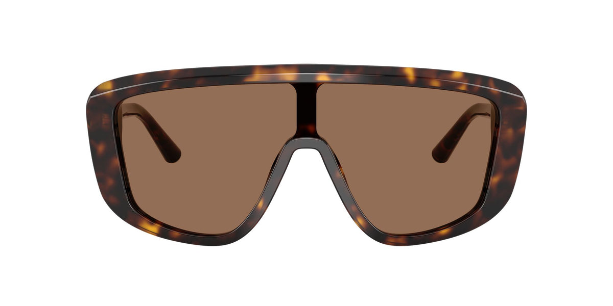 Dolce & Gabbana 0DG4520 502/73 28 Havana/ Dark Brown