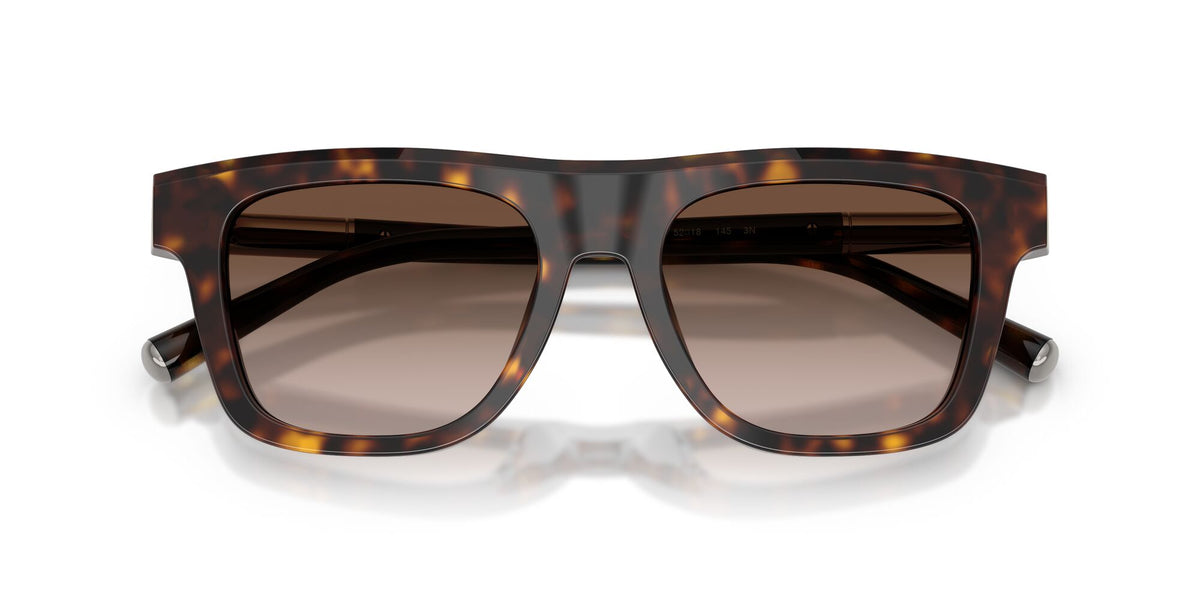 Dolce & Gabbana 0DG4521 502/13 52 Havana/ Gradient Brown