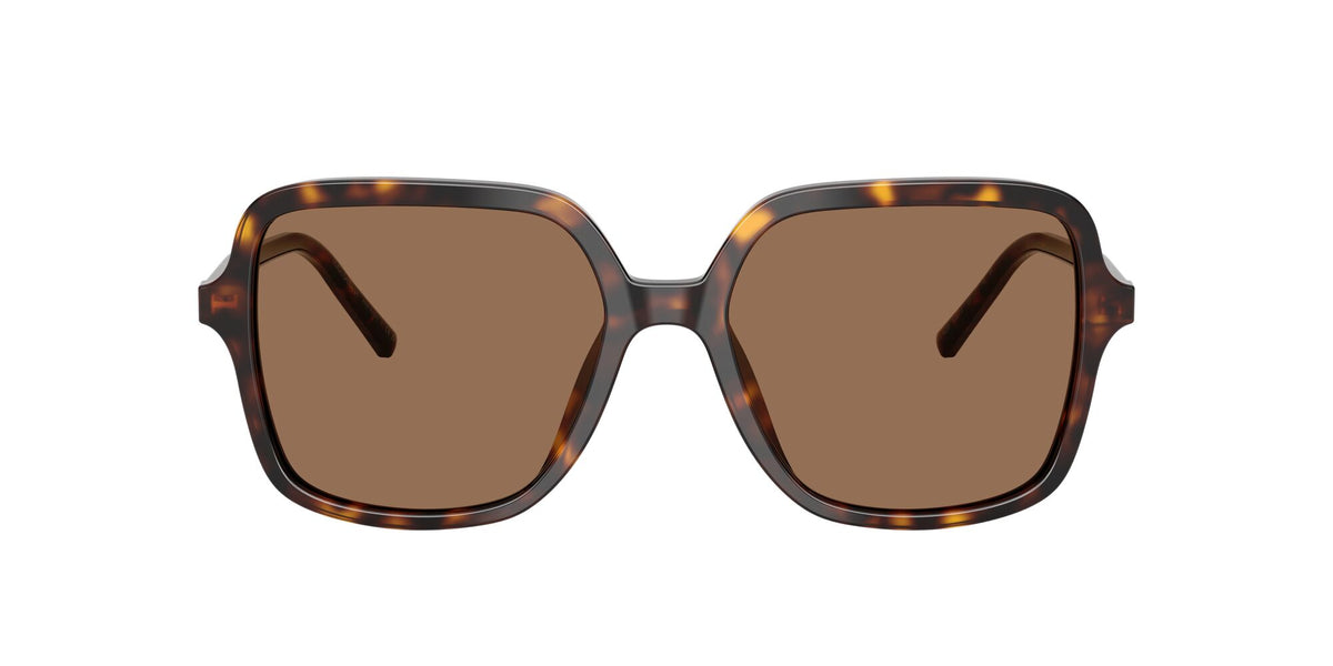 Dolce & Gabbana 0DG4539502/7355 Havana/ Dark Brown
