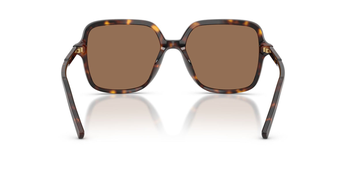 Dolce & Gabbana 0DG4539502/7355 Havana/ Dark Brown