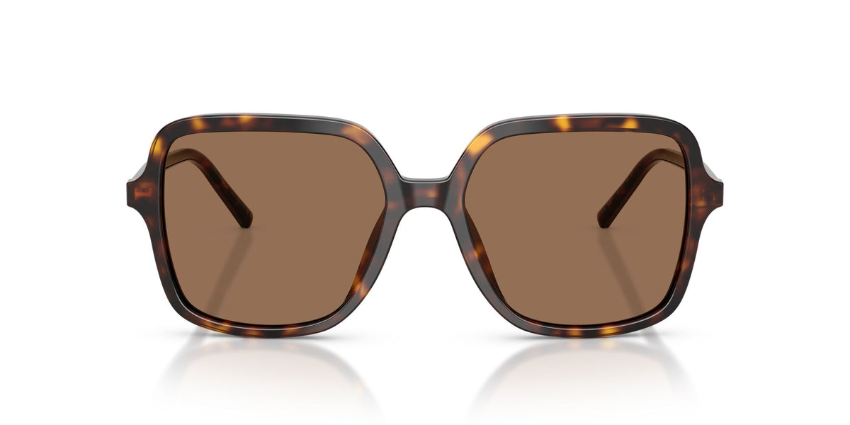 Dolce & Gabbana 0DG4539502/7355 Havana/ Dark Brown