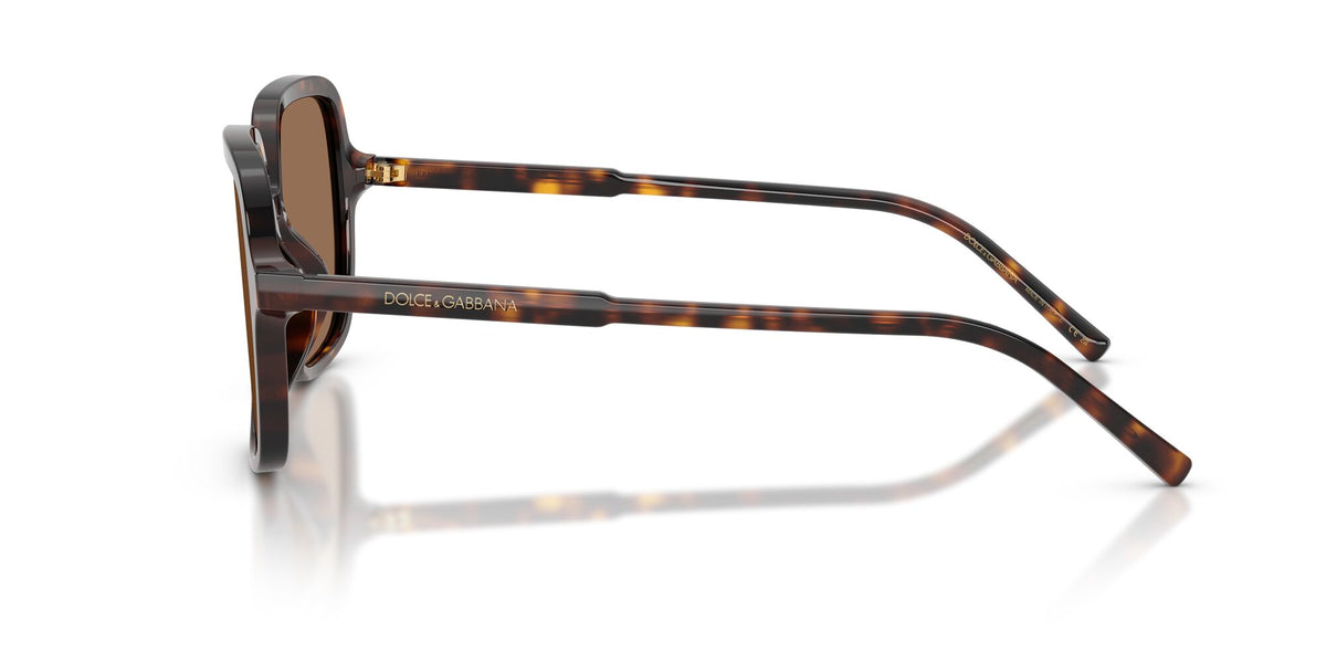 Dolce & Gabbana 0DG4539502/7355 Havana/ Dark Brown