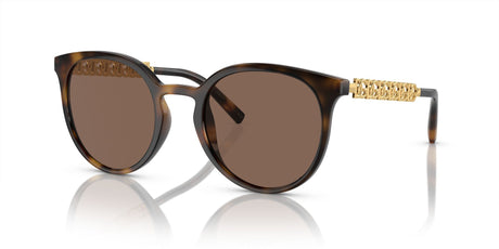 Dolce & Gabbana 0DG6189U 502/73 52 Havana/ Dark Brown 52 / Polycarbonate / Injected / Metal