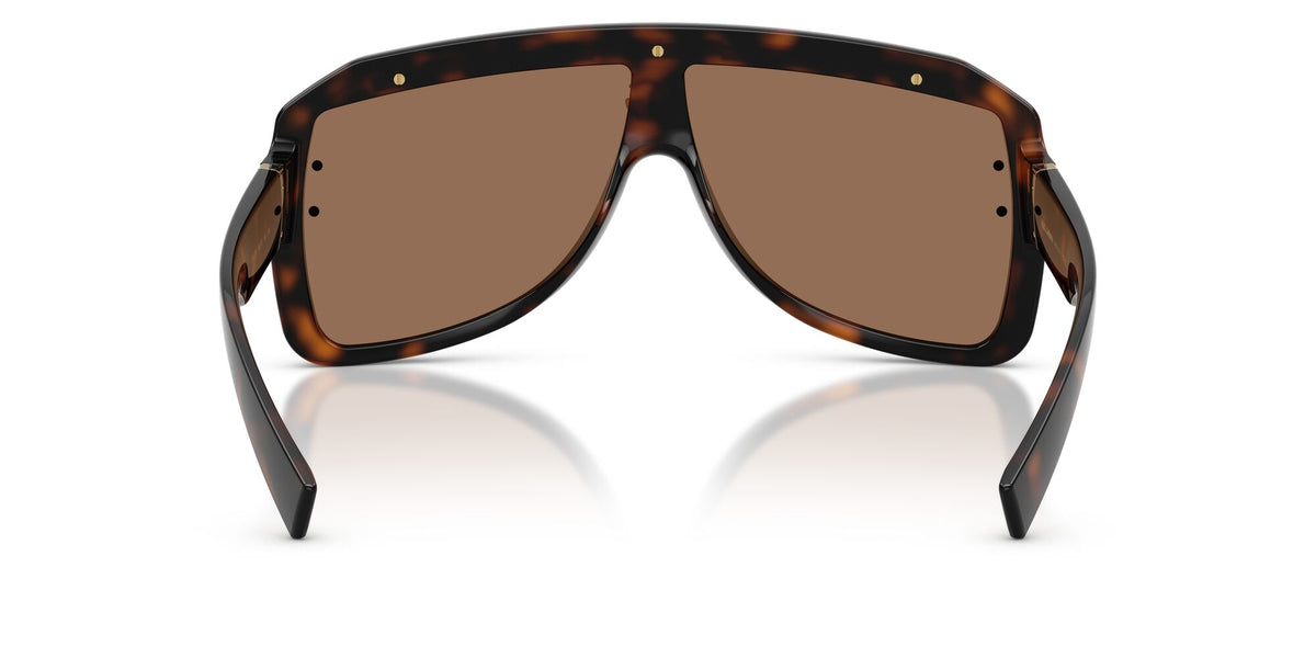 Dolce & Gabbana 0DG62055027337 Havana/ Dark Brown