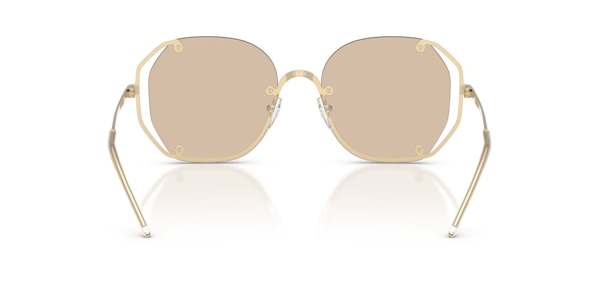 Emporio Armani 0EA2168 301393 54 Shiny Pale Gold/ Light Brown