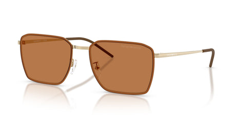 Emporio Armani 0EA2172D 301373 60 Shiny Pale Gold/ Brown